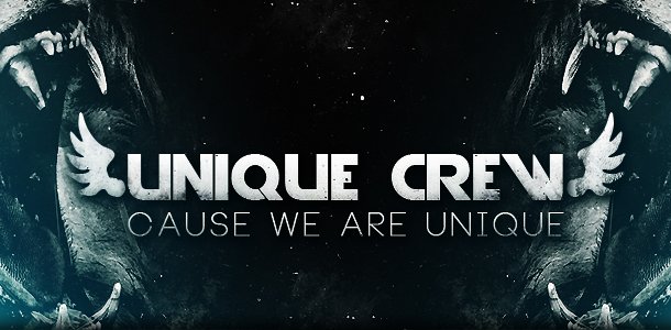 UniqueCrew.net erneut angegriffen Update 3 : wieder online